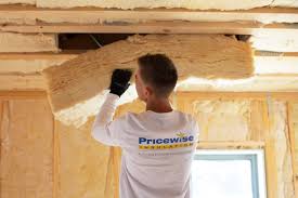 Best Eco-Friendly or Green Insulation Solutions  in Elgin, MN